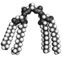 <strong>The molecule shown below is ________ and may play a role in ________. </strong> A) phosphatidylethanolamine; heat response B) cardiolipin; heat response C) phosphatidylglycerol; heat response D) cardiolipin; starvation E) phosphatidylglycerol; heat response