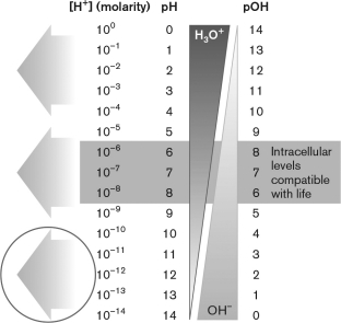 <strong>Which of the following grows in the indicated pH range shown in the figure below?  </strong> A) psychrophiles B) mesophiles C) piezophiles D) alkaliphiles E) acidophiles <div style=padding-top: 35px> 
