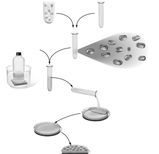 How is the technique displayed in the figure below used to count virions in a solution?