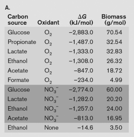 <strong>Using the table below, what is the best method for obtaining energy from catabolizing ethanol, and why? </strong> A) the catabolism of ethanol without an oxidant, because the DG is almost positive B) the oxidation of ethanol with as the oxidant is because of the large yield of energy released C) the oxidation of ethanol with oxygen, because the DG is the largest negative number indicating the large yield of energy released. D) The oxidation of ethanol yields too little biomass to be catabolized. E) None-ethanol can only be catabolized syntrophically.