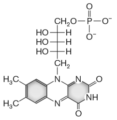 <strong>The molecule shown below, __________, is a cofactor for electron transport. </strong> A) a cytochrome B) ubiquinone C) flavin mononucleotide D) nicotine amide dinucleotide E) heme b
