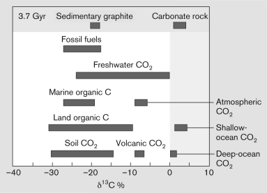 Analyze the figure below. If a d ¹³C isotope analysis was performed on an unknown geological sample of sedimentary graphite and determined a negative d ¹³C % value, would it be determined that life had existed in that sample or not, and why?  <div style=padding-top: 35px> 