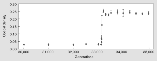 The Long-Term Evolution Experiment (LTEE) has been conducted by Richard Lenski at Michigan State University since 1988. The purpose of the experiment is to observe evolution in action in a laboratory environment. Use the figure below to explain what physiological adaptations allowed one of the Escherichia coli strains to grow to a much higher density after 33,000 generations.  <div style=padding-top: 35px> 