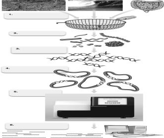 <strong>The instrument shown in step 5 of the figure below is used for what metagenomics step? </strong> A) DNA isolation B) DNA sequencing C) sample filtering D) cell lysis E) sequence assembly