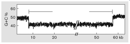 Describe what is occurring in the figure below.  <div style=padding-top: 35px> 
