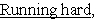 <strong> the thief left the scene of the crime and eluded the police.</strong> A)independent clause B)subordinate clause C)participle phrase D)gerund phrase E)prepositional phrase