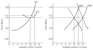 <strong>Right Panel: The market: a shift of short-run supply in response to an increase in demand. Refer to the diagrams above.If the market demand for wheat and the market supply of wheat are represented by D' and SRS,respectively,the market price is ____ per bushel and the firm will produce _____ bushels of wheat per year.</strong> A) $1.20;12 million B) $1.20;12 thousand C) more than $1.20;more than 12 thousand D) less than $1.20;more than 12 million E) more than $1.20;more than 12 million