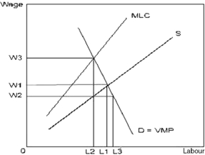<strong>  In the graph above,the distance 0W2 measures the</strong> A) marginal labour cost of L2 workers. B) value of marginal product of L2 workers. C) perfectly competitive wage rate. D) wage rate the monopsonist pays to the L2 workers. E) wage rate necessary to ensure L3 workers will come to work. <div style=padding-top: 35px> 
