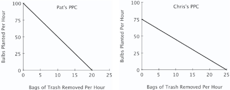 <strong>Refer to the figure below.For Pat, the opportunity cost of removing one bag of trash is planting: </strong> A)100 bulbs. B)5 bulbs. C)1/100 of a bulb. D)1/5 of a bulb.