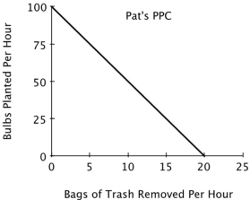 <strong>Refer to the figure below. For Pat, the opportunity cost of planting one bulb is removing: </strong> A)20 bags of trash. B)5 bags of trash. C)1/20 of a bag of trash. D)1/5 of a bag of trash.