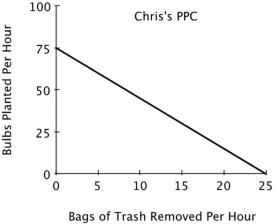 <strong>Refer to the figure below. For Chris, the opportunity cost of removing one bag of trash is planting: </strong> A)25 bulbs. B)1/25 of a bulb. C)3 bulbs. D)1/3 of a bulb.