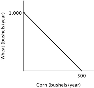 <strong>Refer to the figure below. Growing 1,000 bushels of wheat and no bushels of corn each year is: </strong> A)inefficient and unattainable. B)inefficient but attainable. C)efficient but unattainable. D)efficient and attainable.