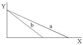<strong>Which is true of the two budget lines drawn below?  </strong> A)Line a has a higher nominal income than line b B)Line b and line a have the same nominal income C)The absolute price of good Y is greater with budget line a than with budget line b D)The price of good X is larger with budget line a <div style=padding-top: 35px> 