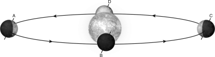 <strong>The following figure shows Earth's orbit around the Sun.Which position corresponds to summer in the Northern Hemisphere? </strong> A) A B) B C) C D) D