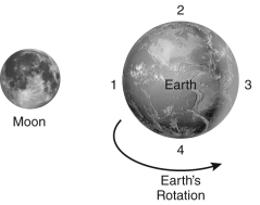 <strong>The figure below shows the Earth-Moon system.At which of the marked locations do high tides occur? </strong> A) 1 B) 1 and 3 C) 1 and 4 D) 2 and 4