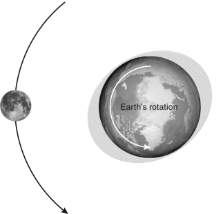 <strong>The figure below shows the tidal bulge of Earth generated by the Moon.What will happen in the future as a result of this configuration? </strong> A) Earth's tides will increase in amplitude. B) Earth's days will become longer. C) Earth's rotation axis will precess. D) The Moon's orbit will slow down.