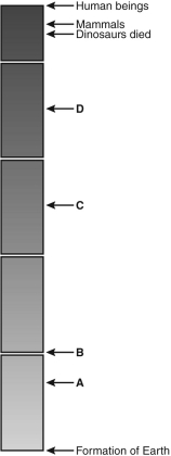 The figure below shows a timeline of life on Earth.Place the first appearance of the following organisms and processes on the timeline at the marked locations: eukaryotic cells,multicellular life,photosynthesis,and prokaryotic cells.