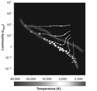<strong>The tracks with arrows shown on the figure below illustrate what evolutionary phase of the stellar life cycle?  </strong> A) main sequence B) protostar C) red giant D) horizontal branch <div style=padding-top: 35px> 