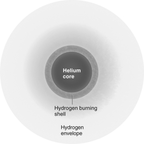 <strong>What kind of star is shown in the figure below? </strong> A) main sequence B) red giant C) horizontal branch D) asymptotic giant branch