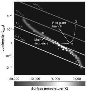 <strong>The figure below shows the trajectory of a star on the HR diagram as it moves along the red giant branch.How does its radius at point 3 compare to its radius at point 1? </strong> A) It is 100 times larger at point 3. B) It is 10 times larger at point 3. C) It is 2 times larger at point 3. D) It is 10 times smaller at point 3.
