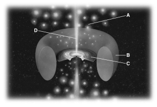 <strong>The figure below shows a schematic diagram of an active galactic nucleus.Which region is responsible for broad emission lines? </strong> A) A B) B C) C D) D