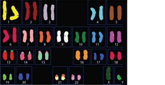<strong>Figure 12.1 What can you infer from the karyotype shown in Figure 12.1?</strong> A)There is a translocation in one of the chromosome 8 homologues. B)This individual has a single sex chromosome. C)This individual has an abnormal number of autosomes. D)This is a karyotype of a male.