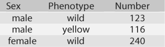 <strong>Figure 13.1 In a Drosophila experiment,a cross was made between homozygous wild-type females and yellow-bodied males.All of the resulting F₁s were phenotypically wild type.However,adult flies of the F₂ generation (resulting from matings of the F₁s)had the characteristics shown in the figure above: (a)Is the mutant allele for yellow body recessive or dominant? (b)Is the yellow locus autosomal (not X-linked)or X-linked?</strong> A)(a)recessive;(b)X-linked B)(a)recessive;(b)not X-linked C)(a)dominant;(b)X-linked D)(a)dominant;(b)not X-linked E)none of the above
