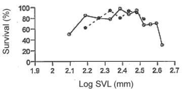 <strong>Martin Wikelski and L. Michael Romero (Body size, performance and fitness in Galápagos marine iguanas, Integrative and Comparative Biology 43 [2003]:376-86)measured the snout-to-vent (anus)length of Galápagos marine iguanas and observed the percent survival of different-sized animals. Figure 25.2 shows the log snout-vent length (SVL, a measure of overall body size)plotted against the percent survival of these different size classes for males and females.   Figure 25.2 Examine the figure above.What type of selection for body size appears to be occurring in these marine iguanas?</strong> A)directional selection B)stabilizing selection C)disruptive selection D)sexual selection <div style=padding-top: 35px> 