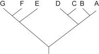 <strong>Figure 27.1   Which of the following trees depicts the same relationship among species as shown above?</strong> A)   B)   C)   D)None;the above trees all depict a different relationship among species. <div style=padding-top: 35px> 