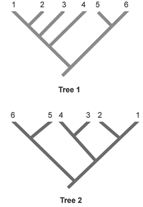 Figure 27.5 -In the phylogenetic trees above,numbers represent species and the same species are shown in both trees.Which two species are represented as sister species in Tree 2 but are not shown as sister species in Tree 1?