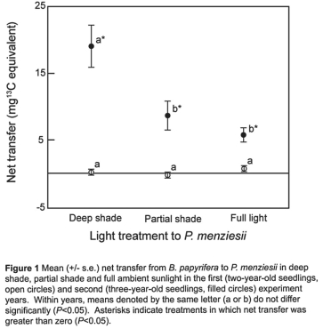 Figure 31.3 -Referring to Figure 31.3 (Simard et al.,1997-third-year seedlings only),shown above,was there a net transfer of carbon from plants in sunlight to plants in shade?