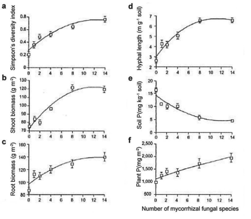 The researchers then wanted to know if plant biodiversity and productivity would increase in a natural system as a result of increasing AMF diversity beyond just four species. Consider Figure 31.6 below (Figure 2 from van der Heijden et al. 1998): Figure 31.6 -If the number of mycorrhizal fungal species increases to 20,the amount of P in the soil will likely decline to zero (Figure 31.6).True or false?