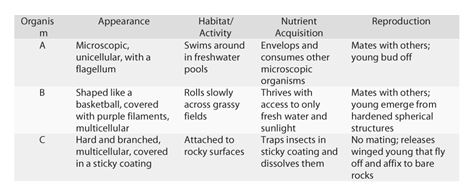 <strong> Figure 32.1 As you are on the way to Tahiti for a vacation,your plane crash-lands on a previously undiscovered island.You soon find that the island is teeming with unfamiliar organisms and,as a student of biology,you decide to survey them (with the aid of the Insta-Lab Portable Laboratory you brought along in your suitcase).You select three organisms and observe them in detail,making the notations found in Figure 32.1. Which organism would you classify as an animal?</strong> A)organism A B)organism B C)organism C