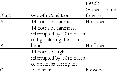 Table 39.1 -Refer to the table above.Why did plant B fail to flower?