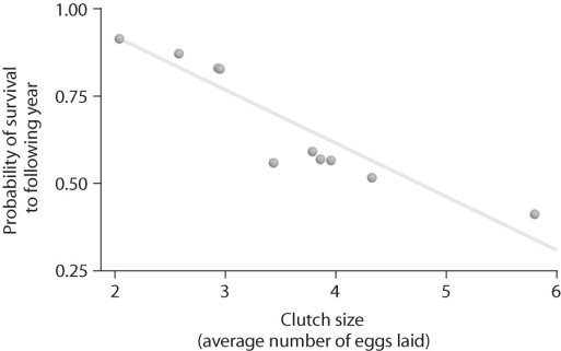 Figure 52.2 -Looking at the data in the figure above,what can be said about survival and clutch size?