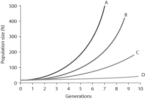 Figure 52.4 -In the figure above,which of the lines represents the highest per-capita rate increase (r)?