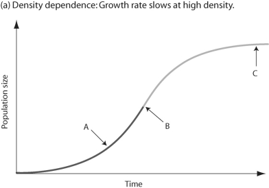 Figure 52.5 -In the figure above,which of the arrows represents the most rapid growth?