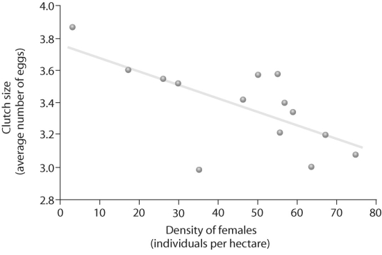 <strong>Figure 52.6 Based on the figure above,which of the following statements correctly interprets the data?</strong> A)Female density is affected by clutch size. B)Clutch size is affected by female density. C)Survivorship is affected by female density.