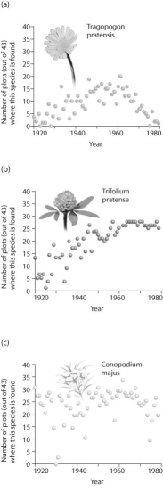 <strong>Figure 52.8 Park Grass study in Rothamstead,UK is the longest-running biological experiment.A series of plots (~1/3 ha each)with uniform soil and vegetation have been treated either with fertilizer,lime,or left as controls.Annually,researchers record plant species present.Based on the graphs above,which species increased and maintained high population size?</strong> A)Tragopogon pratensis B)Trifolium pratense C)Conopodium majus