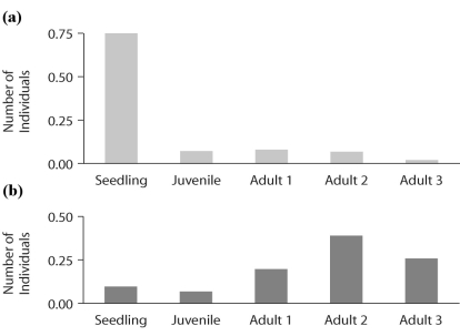 <strong>Figure 52.10 Which of the following statements about the graphs in the figure above is FALSE?</strong> A)Primrose populations in large gaps (high light)have many juveniles. B)Primrose populations in small gaps (low light)have few juveniles. C)Primrose populations change in structure over time. D)The age structure of primrose determines the gap size. E)All of the above statements are true.