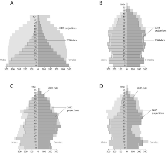<strong>Figure 52.11 Based on the diagrams in the figure above and on the large population of baby boomers in Canada,what graph best reflects Canadian population in 20 years?</strong> A)A B)B C)C D)D