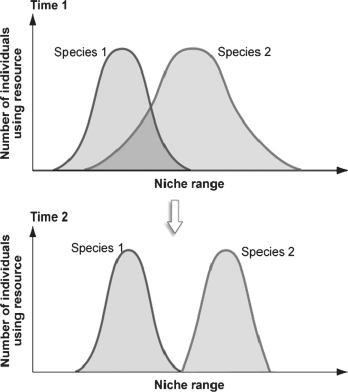 <strong>Figure 53.2 What is the term used to describe the process shown in the panels in the figure above?</strong> A)competition B)species interaction C)niche differentiation D)niche realization