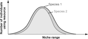 <strong>Figure 53.3 In the figure above,which species is the stronger competitor?</strong> A)species 1 B)species 2 C)Both species compete equally. D)It is not possible to tell from this figure.
