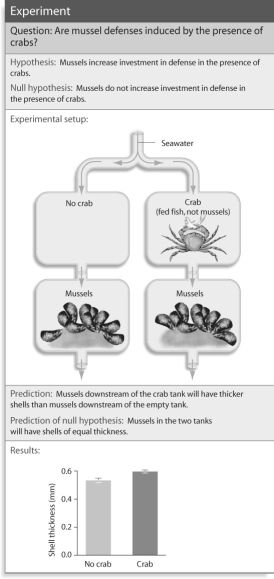 <strong>Figure 53.4 Based on the figure above,what result would you expect if you replaced the crabs with broken mussel shells?</strong> A)the same result as the experiment with crabs B)no difference in shell thickness C)a higher degree of difference than the crab experiment D)impossible to hypothesize