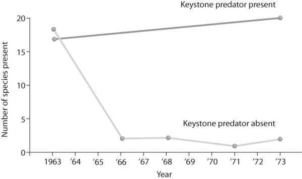 <strong>Figure 53.7 What does the graph in the figure above tell you about the definition of a keystone species?</strong> A)A keystone species has little interaction with other species in an environment. B)A keystone species removed from a community could have drastic effects. C)A keystone species can be any species. D)A keystone species added to a community can make it more robust.