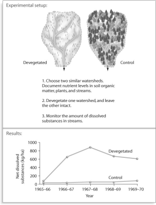 <strong>Figure 54.7 After looking at the experiment in the figure above,what can be said about nutrient export in ecosystems?</strong> A)Nutrient export is typically 10 times lower in a clear-cut watershed. B)Nutrient export is typically 10 times higher in a clear-cut watershed. C)Nutrient export is typically 10 times higher in an uncut watershed. D)Nutrient export is not affected by any form of cutting.