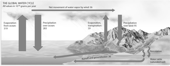 <strong>Figure 54.8 Considering the global water cycle depicted in the figure above,where does one find the largest amount of water changing phases?</strong> A)groundwater runoff to oceans B)movement of water vapor from ocean to land C)evaporation/transpiration and precipitation over land D)evaporation and precipitation over the oceans
