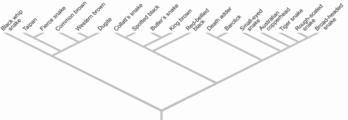 <strong>Figure 55.2 Based on how you would go about measuring biodiversity,which of the following is true?</strong> A)Bacteria are among the easiest to count regarding numbers of different species. B)Species in the tropics are much easier to study than species in other biomes. C)The easiest animals to study are the insects. D)The most intensively studied lineages are vertebrates.