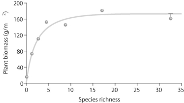 <strong>Figure 55.3 Upon looking at Figure 55.3 regarding Tilman's experiments,what can you conclude about the data?</strong> A)As species richness changes,plant biomass remains consistent. B)As species richness increases,plant biomass increases. C)As species richness increases,plant biomass increases and then levels off. D)As species richness decreases,plant biomass increases.