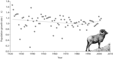 <strong>Figure 55.5 According to the figure above,what is occurring after 1985?</strong> A)The population is increasing exponentially. B)The population is increasing. C)The population growth rate is increasing. D)The sheep are climbing a hill.